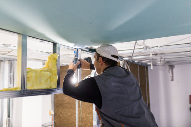 Professional Insulation Contractor in Black Diamond, FL