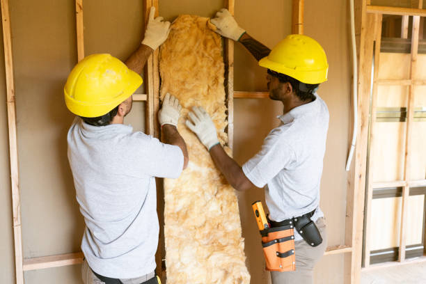 Best Insulation Contractors for Homes  in Black Diamond, FL