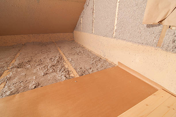 Best Residential Insulation Services  in Black Diamond, FL