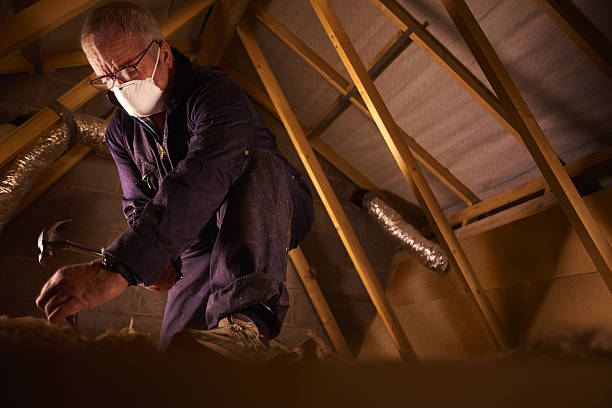Best Cellulose Insulation  in Black Diamond, FL